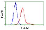 TTLL12 Antibody in Flow Cytometry (Flow)