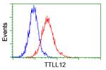 TTLL12 Antibody in Flow Cytometry (Flow)