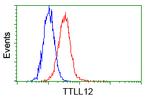 TTLL12 Antibody in Flow Cytometry (Flow)