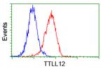 TTLL12 Antibody in Flow Cytometry (Flow)