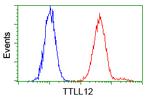 TTLL12 Antibody in Flow Cytometry (Flow)