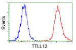 TTLL12 Antibody in Flow Cytometry (Flow)