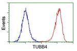 TUBB4 Antibody in Flow Cytometry (Flow)