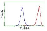 TUBB4 Antibody in Flow Cytometry (Flow)