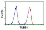 TUBB4 Antibody in Flow Cytometry (Flow)