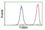 TUBB4 Antibody in Flow Cytometry (Flow)