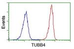 TUBB4 Antibody in Flow Cytometry (Flow)