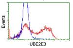 UBE2E3 Antibody in Flow Cytometry (Flow)