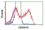 UBXN10 Antibody in Flow Cytometry (Flow)