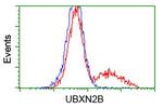 UBXN2B Antibody in Flow Cytometry (Flow)