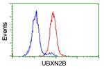 UBXN2B Antibody in Flow Cytometry (Flow)