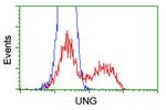 UNG Antibody in Flow Cytometry (Flow)