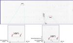 VBP1 Antibody in Peptide array (ARRAY)