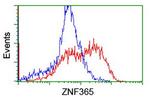 ZNF365 Antibody in Flow Cytometry (Flow)