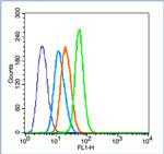 CD4 Antibody in Flow Cytometry (Flow)