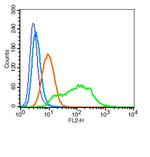 CD38 Antibody in Flow Cytometry (Flow)