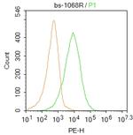 NMDAR1 Antibody in Flow Cytometry (Flow)