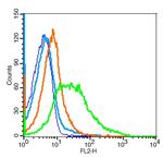 CD36 Antibody in Flow Cytometry (Flow)