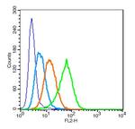 CD13/APN/ANPEN Antibody in Flow Cytometry (Flow)