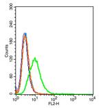 CD59 Antibody in Flow Cytometry (Flow)