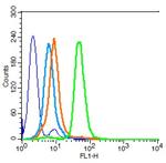 CD15/Fut4/SSEA-1 Antibody in Flow Cytometry (Flow)