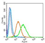 CD171/NCAM-L1 Antibody in Flow Cytometry (Flow)