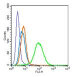 CD33 Antibody in Flow Cytometry (Flow)