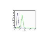 CK18 Antibody in Flow Cytometry (Flow)