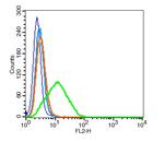 CD9/MRP-1 Antibody in Flow Cytometry (Flow)