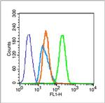 Histone H3 (tri methyl K37) Antibody in Flow Cytometry (Flow)