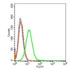 CD21/EBV receptor Antibody in Flow Cytometry (Flow)