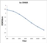 IDH3A Antibody in ELISA (ELISA)