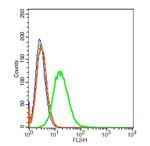 CD45 Antibody in Flow Cytometry (Flow)