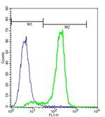 MCSF Antibody in Flow Cytometry (Flow)