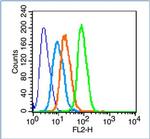 Phospho-CREB-1Ser142 (Ser142) Antibody in Flow Cytometry (Flow)