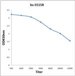 Phospho-NFKBIA (Tyr305) Antibody in ELISA (ELISA)