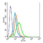 Activin A Receptor Type IC Antibody in Flow Cytometry (Flow)