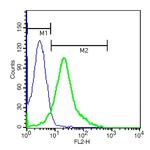 ADORA2B Antibody in Flow Cytometry (Flow)