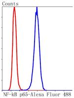 NF-kB p65 Antibody in Flow Cytometry (Flow)