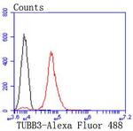 Tubulin beta-III Antibody in Flow Cytometry (Flow)