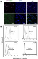 CD45 Antibody in Flow Cytometry (Flow)