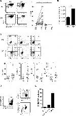 IL-13 Antibody in Flow Cytometry (Flow)