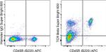 TCR beta Antibody in Flow Cytometry (Flow)