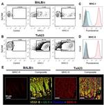 CD326 (EpCAM) Antibody in Flow Cytometry (Flow)