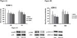 CD54 (ICAM-1) Antibody in Flow Cytometry (Flow)