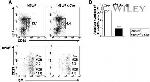 CD23 Antibody in Flow Cytometry (Flow)