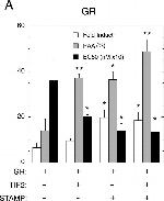 Glucocorticoid Receptor Antibody in ChIP Assay (ChIP)