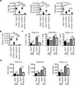 IL-4 Antibody in Flow Cytometry (Flow)