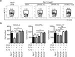 IL-4 Antibody in Flow Cytometry (Flow)