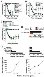 Complement C3a Antibody in ELISA (ELISA)